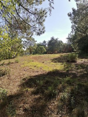 Terreno en venta en Huasca de Ocampo