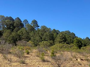 Terreno en venta en Real del Monte, Hidalgo