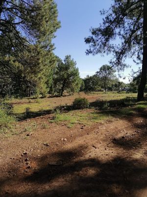 Terreno en venta en Huasca de Ocampo