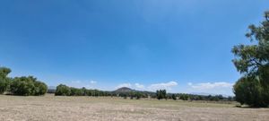 Terreno en venta de 25 ha en Zempoala $150/m2