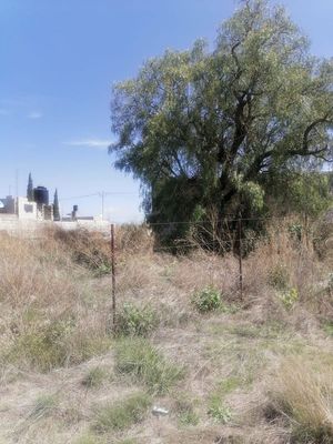 Terreno en venta ubicado en la Loma