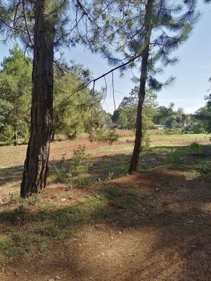 Terreno en venta en Huasca de Ocampo