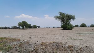 Terreno en venta a pie de carretera en Zapotlán de Juárez