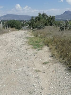 Terreno en venta en La Loma, Actopan $1,300/m2