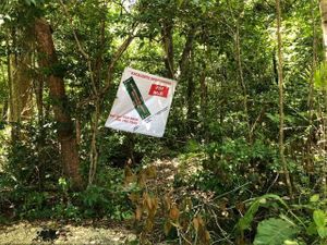 TERRENO EN VANTA EN TULUM