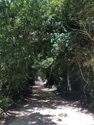 TERRENO EN VANTA EN TULUM