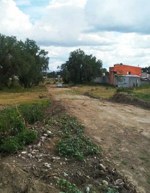 VENDO TERRENO EN SAN HIPOLITO XOCHILTENANGO PUEBLA