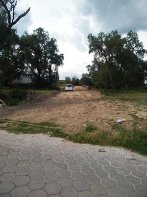 VENDO TERRENO EN SAN HIPOLITO XOCHILTENANGO PUEBLA