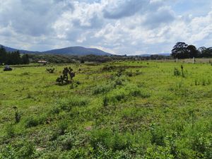 Terreno campestre en San Miguel de la Victoria