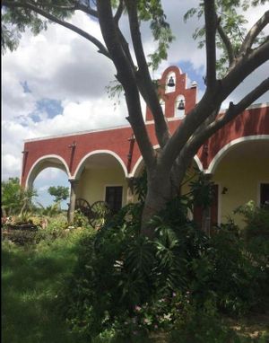 EN VENTA RANCHO DE 106.5 HAS | CANSAHCAB, YUCATAN |