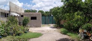 Terreno en Renta con Barda ideal para Taller en la Col. Mulsay, Mérida Yucatán