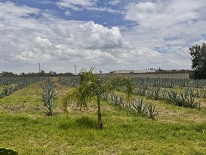 TERRENO EN VENTA EN TLAJOMULCO DE ZUÑIGA, JAL.