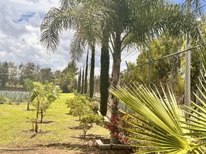 TERRENO EN VENTA EN TLAJOMULCO DE ZUÑIGA, JAL.