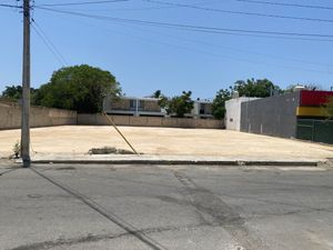 Terreno en Venta en Sodzil Norte