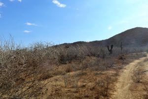 Terreno sobre carretera CERRITOS