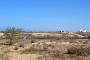 Terreno en TODOS SANTOS