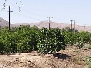 Finca/Rancho en Venta en La Puerta Mexicali