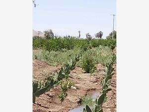 Finca/Rancho en Venta en La Puerta Mexicali