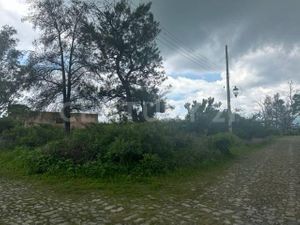 Terreno en Ixtlahuacan de los Membrillos