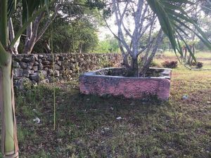En Venta Ex Granja En Uman, Yucatan