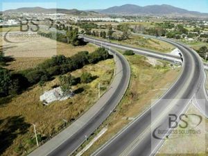 Terreno en Renta Frente al Polígono Empresarial Santa Rosa J