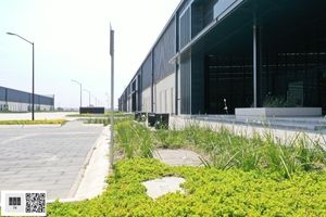 Renta Naves Industriales (4,198m2) Zona Aeropuerto Qro, Qro76 $24,351usd