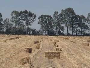 Rancho en venta  100 hectareas  Huichapan Hidalgo