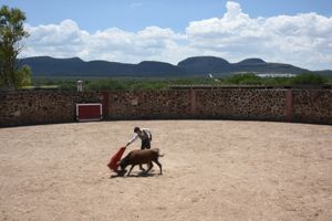 Rancho en Venta 600 Hectareas,  Tequisquiapan, Querétaro.