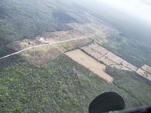 Terreno en Venta de 1,000 hectareas, Cancún Quintana Roo.