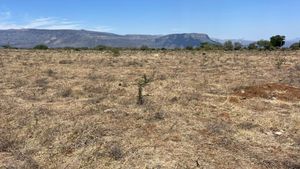 Terreno en venta 57.9  hectareas en Amatitan Jalisco