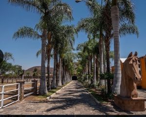 Rancho en venta 5.5 hectáreas en San Miguel Cuyutlan