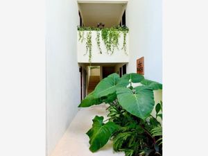 Departamento en Venta en La Veleta Tulum