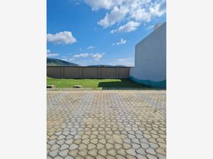 Terreno en Venta en Lomas de Angelópolis San Andrés Cholula