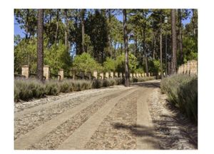 Terreno en Tapalpa Bosque de la Cañada