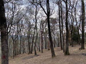 Terreno en Venta Santa María Mazatla, Jilotzingo Estado de México