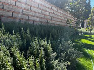 Terreno de lujo en Fraccionamiento San Acasio, Zapopan