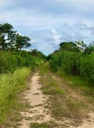 Terreno de 8 has en venta en Chablekal. Mérida Yucatán