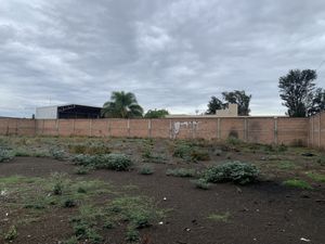 TERRENO EN RENTA EN SANTA CRUZ DEL VALLE