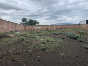 TERRENO EN RENTA EN SANTA CRUZ DEL VALLE