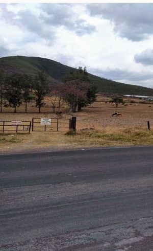 TERRENO INDUSTRIAL EN VENTA EN TLAJOMULCO DE ZUÑIGA