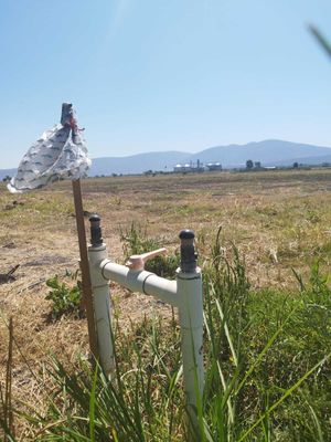 TERRENO EN VENTA EN EL RODEO