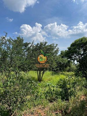 TERRENO DE 1 HECTÁREA EN JUANACATLAN, SALTO