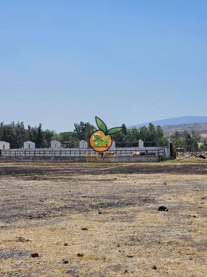 TERRENO DE 4.6 HECTÁREAS CON CONSTRUCCIÓN EN PUENTE GRANDE, ZAPOTLANEJO