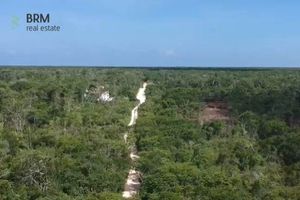 Oportunidad de inversión con lote, a un súper precio, ubicado en Tulum QRoo.