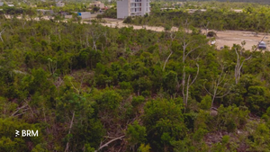 Lote de inversión en Tulum