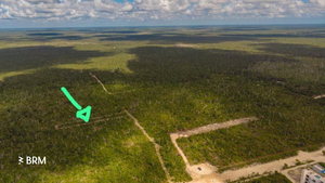 Lote de inversión en Tulum