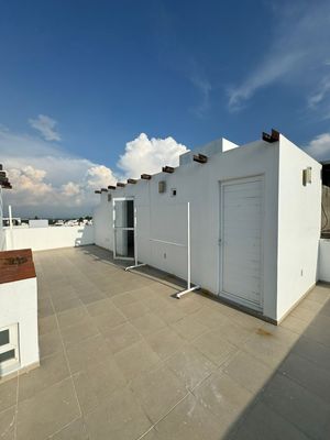 HERMOSA CASA CON VISTA AL BOSQUE‼