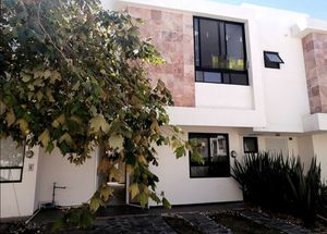 Casa en Renta en Sonterra, en Maple, Querétaro