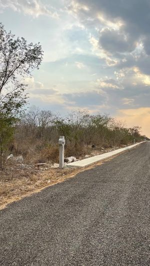 TERRENO EN VENTA TEMOZÓN NORTE