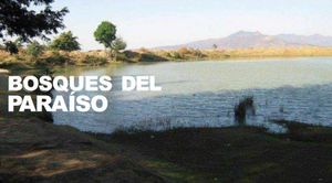 Proyecto Bosques del Paraiso